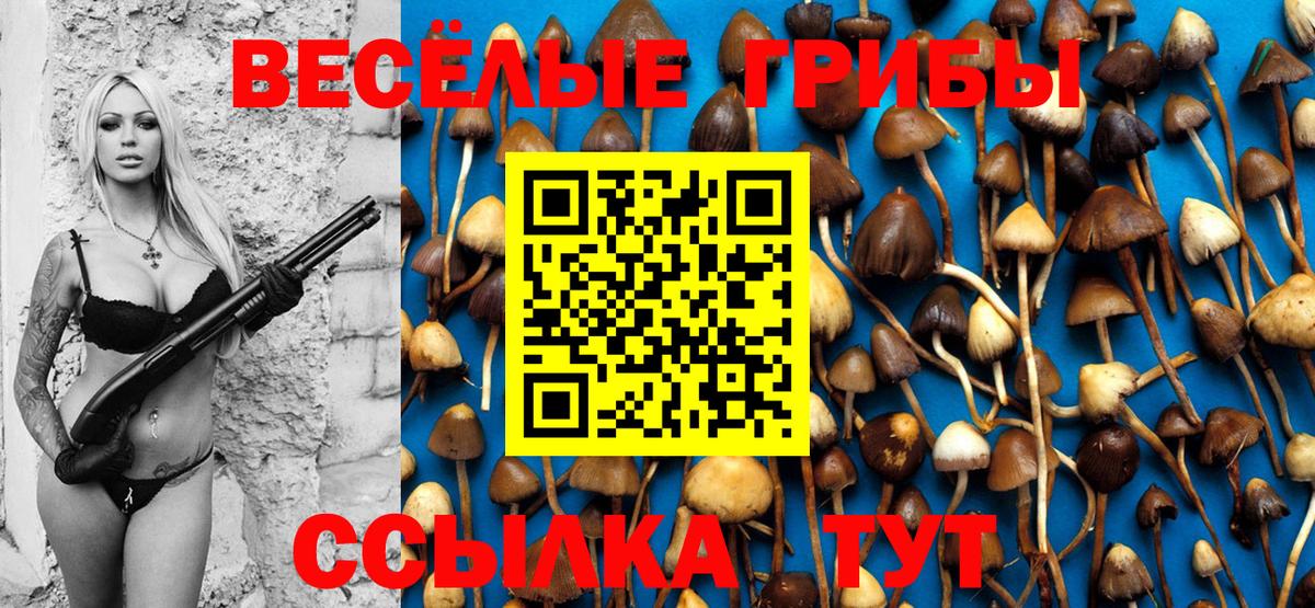 Выкса  Псилоцибиновые грибы прущие грибы  Вход с VPN 
